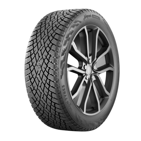 Автошина 205/50-17 Ikon (Nokian Tyrеs) Autograph Snow 5 93T