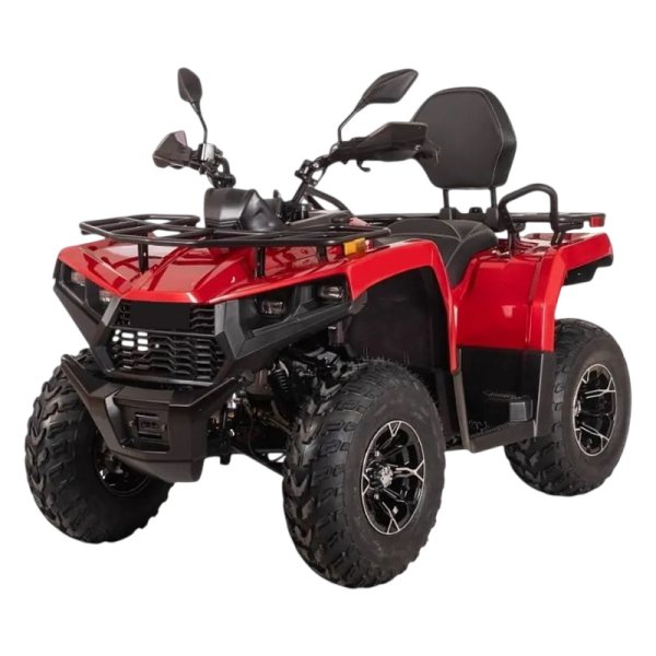 Снегоболотоход BIZON YK250 LUX EFI
