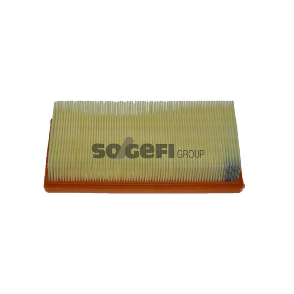 *Фильтр воздушный Fram CA 10333 (CA 2554 Mann) EU