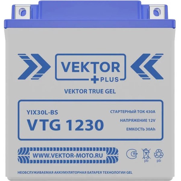 Аккумулятор мото VEKTOR PLUS VTG 1230 (YIX30L-BS) 30 А/ч L