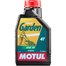 Масло моторное Motul 4-T Garden SAE30 1л