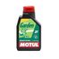 Масло моторное Motul Garden 2T Hi-Tech 1