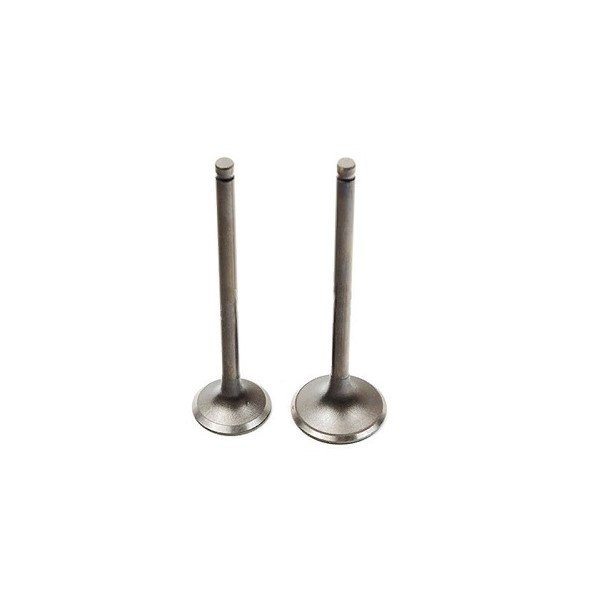 Клапаны ГРМ 162FMJ,164FML,166FML,166FMM,167FMM,170F