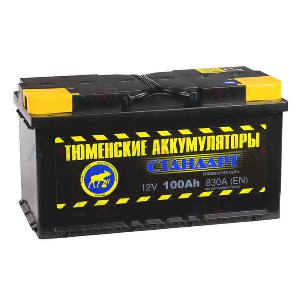 Аккумулятор Тюмень Standart 100 А/ч L
