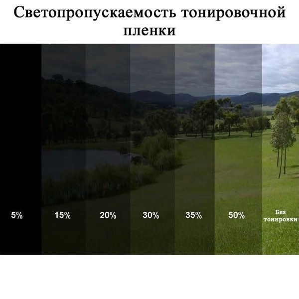 Образец светопропускаемости тонировки
